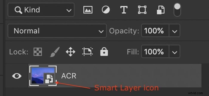 Adobe Camera Raw vs. Lightroom: Key Differences and Which to Choose