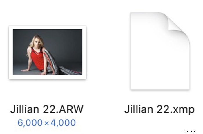 Adobe Camera Raw vs. Lightroom: Key Differences and Which to Choose
