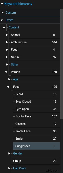 Excire Foto 2022 Review: Powerful AI-Powered Photo Management Software