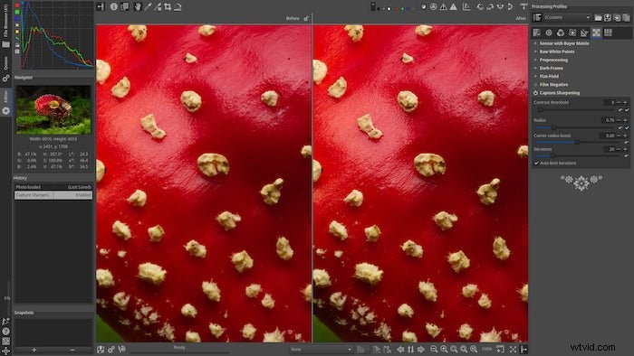 Top 12 Lightroom Alternatives in 2024: Best Free & Paid Photo Editing Software