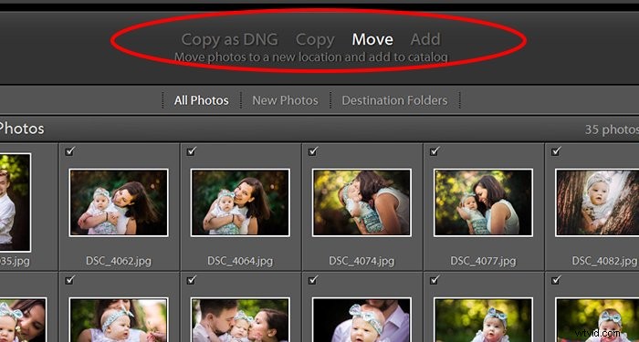 Master Your Lightroom Workflow: Edit Photos Faster and Consistently