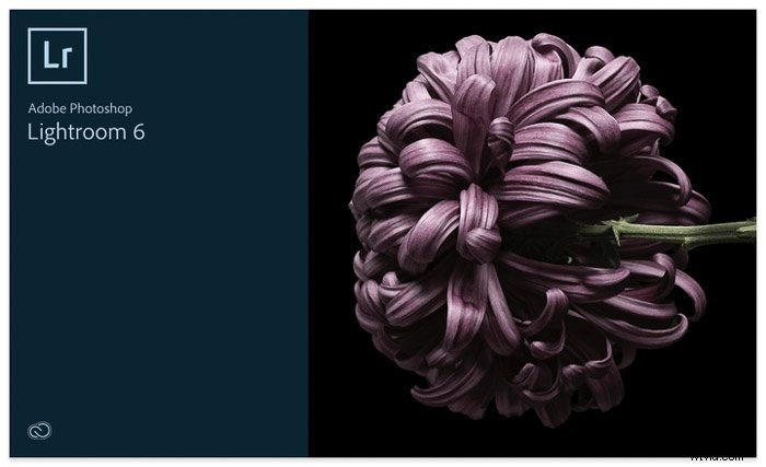 Master Your Lightroom Workflow: Edit Photos Faster and Consistently
