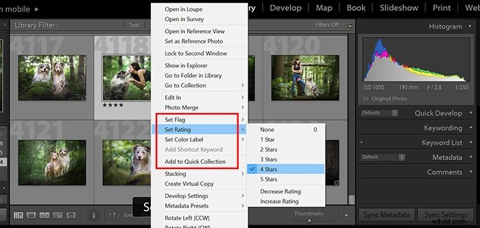 Master Your Lightroom Workflow: Edit Photos Faster and Consistently