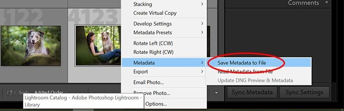 Master Your Lightroom Workflow: Edit Photos Faster and Consistently