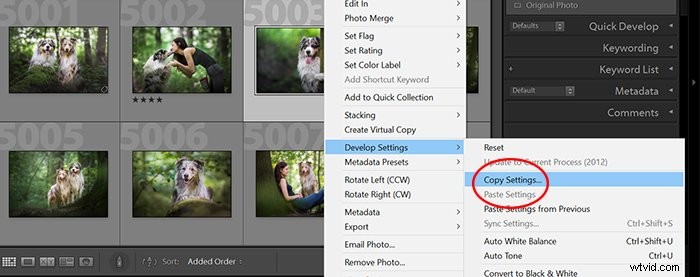 Master Your Lightroom Workflow: Edit Photos Faster and Consistently