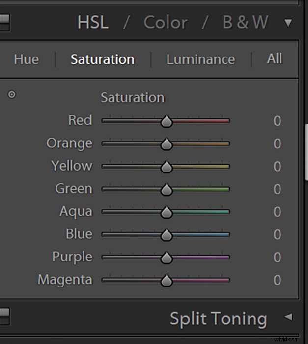 Color Saturation Explained: Master Vibrant Images in Lightroom & Photoshop