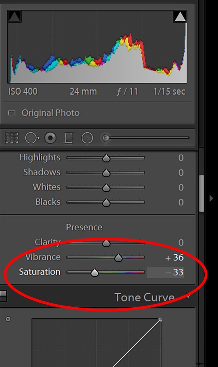 Color Saturation Explained: Master Vibrant Images in Lightroom & Photoshop
