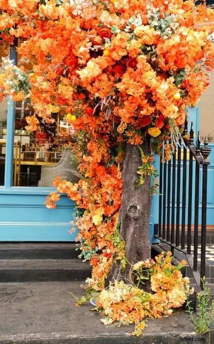 CyberLink PhotoDirector 365 for Mac Review 2022: Better Than Lightroom?