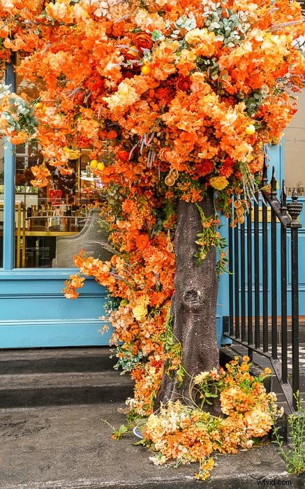 CyberLink PhotoDirector 365 for Mac Review 2022: Better Than Lightroom?