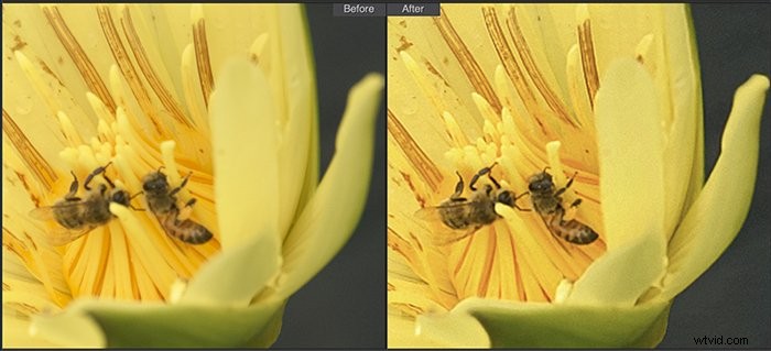 CyberLink PhotoDirector 365 for Mac Review 2022: Better Than Lightroom?