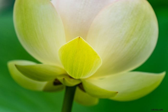 Master Color Blending in Photoshop: Step-by-Step Guide