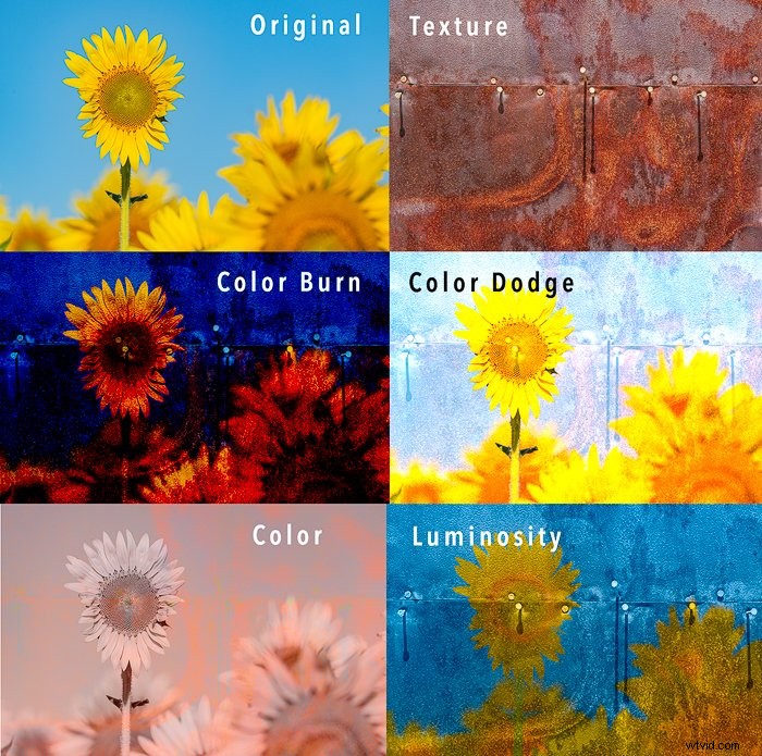 Master Color Blending in Photoshop: Step-by-Step Guide