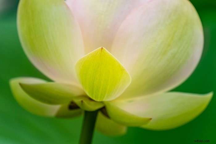 Master Color Blending in Photoshop: Step-by-Step Guide