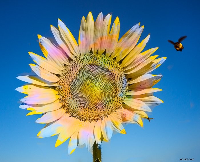 Master Color Blending in Photoshop: Step-by-Step Guide