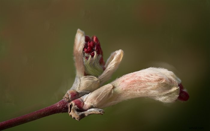 Master Color Blending in Photoshop: Step-by-Step Guide