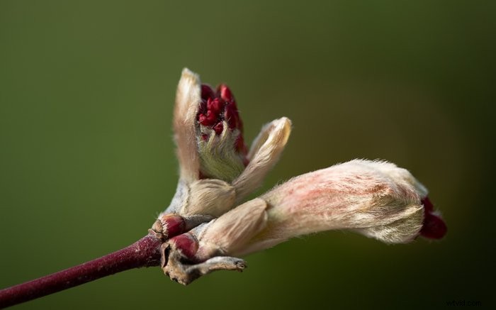 Master Color Blending in Photoshop: Step-by-Step Guide