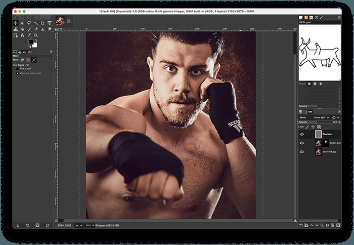 Top 10 Photoshop Alternatives: Best Free & Paid Photo Editors