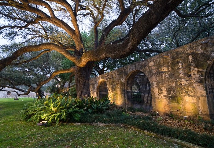 Master Photoshop Neural Filters: Complete Step-by-Step Tutorial