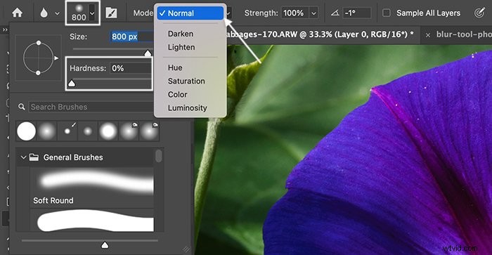 Master the Blur Tool in Photoshop: Step-by-Step Tutorial