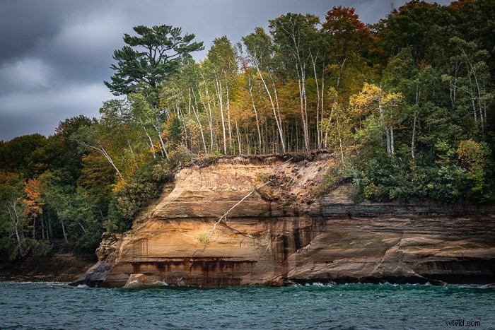 Master the Blur Tool in Photoshop: Step-by-Step Tutorial