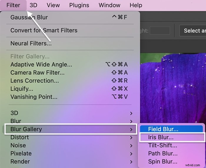 Master the Blur Tool in Photoshop: Step-by-Step Tutorial