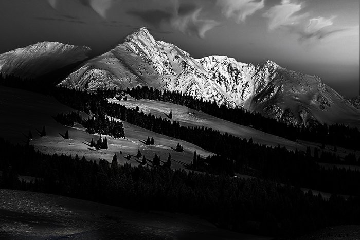 Create Stunning Color Splash Effects in Photoshop: Easy Step-by-Step Guide