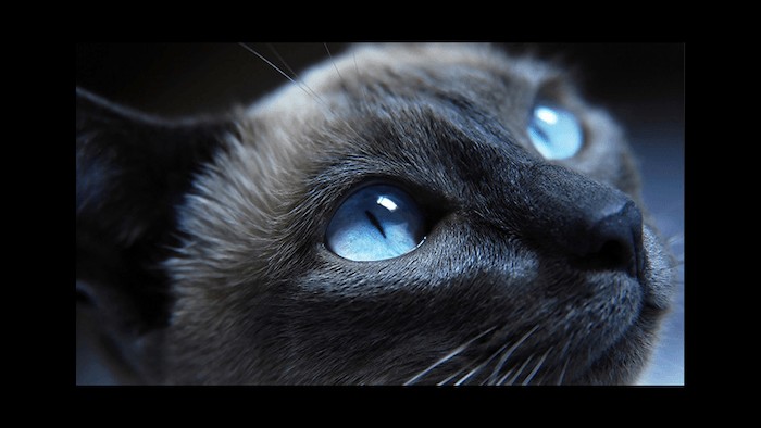 Top 26 Free Photoshop Plugins Every Photographer Needs