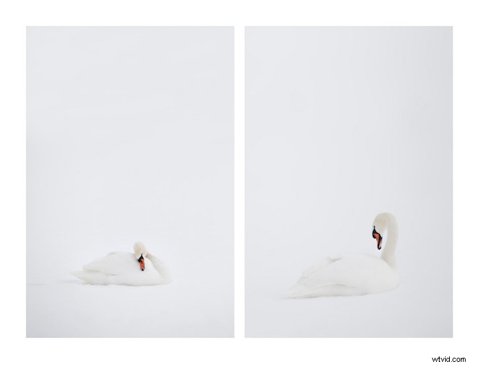 Top 26 Free Photoshop Plugins Every Photographer Needs