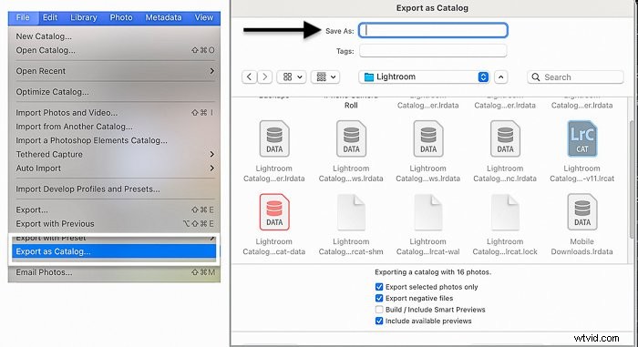 How to Export and Save Photos from Adobe Lightroom: Step-by-Step Guide