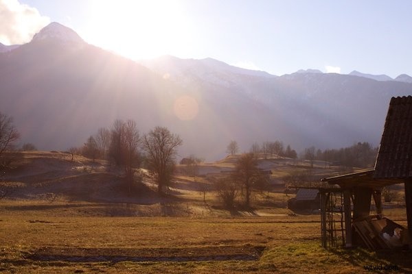 Effortlessly Remove Lens Flare: Pro Post-Production Trick for Perfect Shots