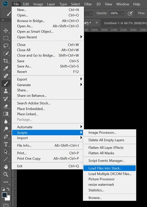 Master Tree Photography: Complete Guide from Planning to Post-Processing