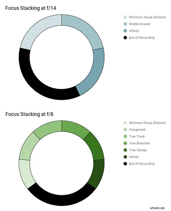 Master Tree Photography: Complete Guide from Planning to Post-Processing
