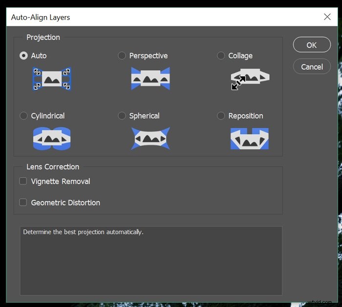 Master Tree Photography: Complete Guide from Planning to Post-Processing