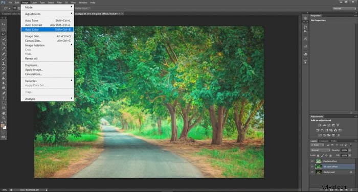 Transform Photos into Stunning Paintings with Photoshop: Step-by-Step Guide