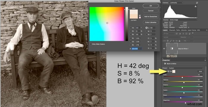 Master Black & White Photo Editing in Photoshop: Expert Techniques