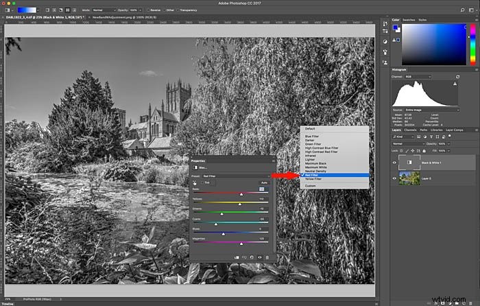 Master Black & White Photo Editing in Photoshop: Expert Techniques