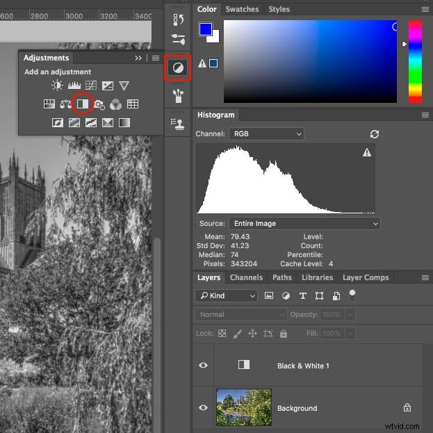 Master Black & White Photo Editing in Photoshop: Expert Techniques