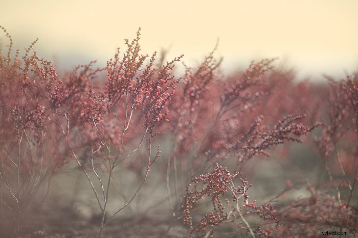 Create Stunning Professional Lighting Effects in Photoshop: Step-by-Step Guide