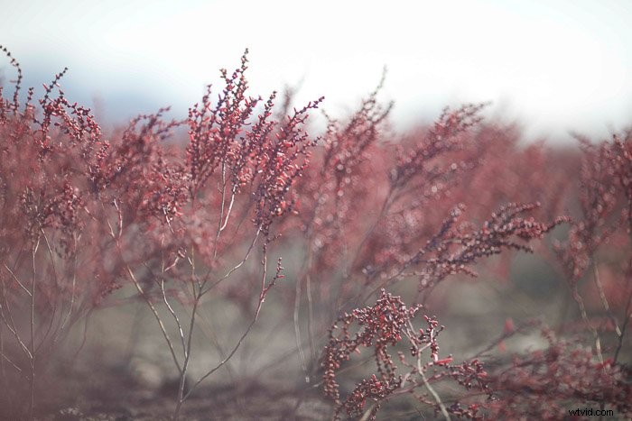 Create Stunning Professional Lighting Effects in Photoshop: Step-by-Step Guide