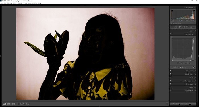 Achieve a Pure White Background In-Camera: Pro Photography Techniques