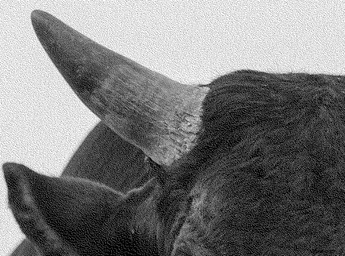 Master Photoshop Color Modes: Complete Guide to Usage and Color Matching