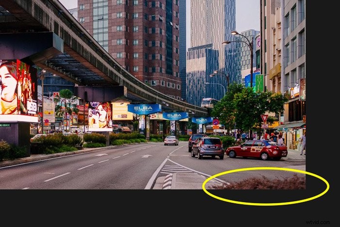 Master Cropping and Straightening Photos in Photoshop: Pro Tips & Steps