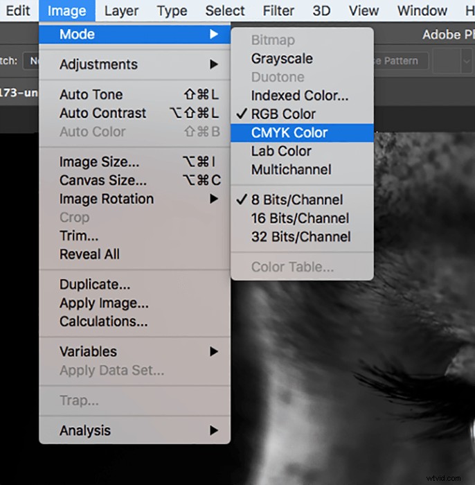 Easy Photoshop Guide: Colorize Black & White Photos Like a Pro