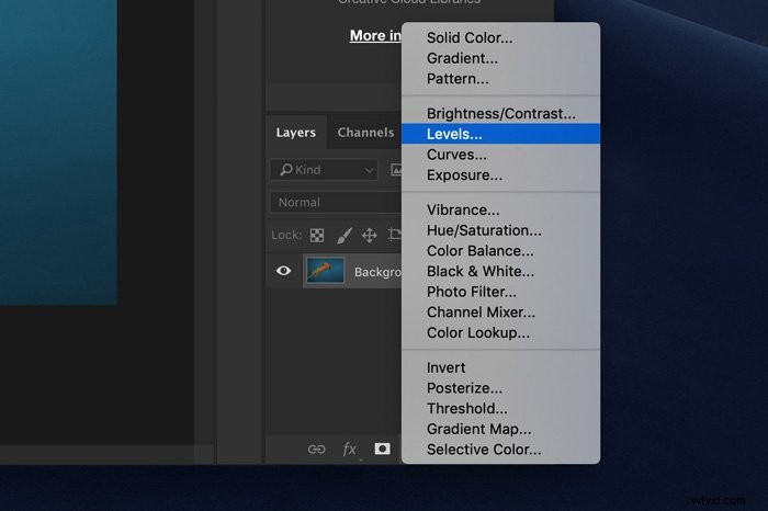 How to Edit Underwater Photos: Essential Beginner Tips for Vibrant Results