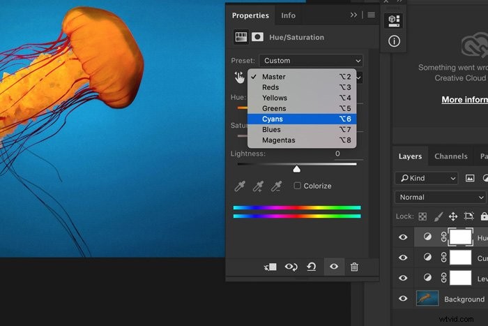 How to Edit Underwater Photos: Essential Beginner Tips for Vibrant Results