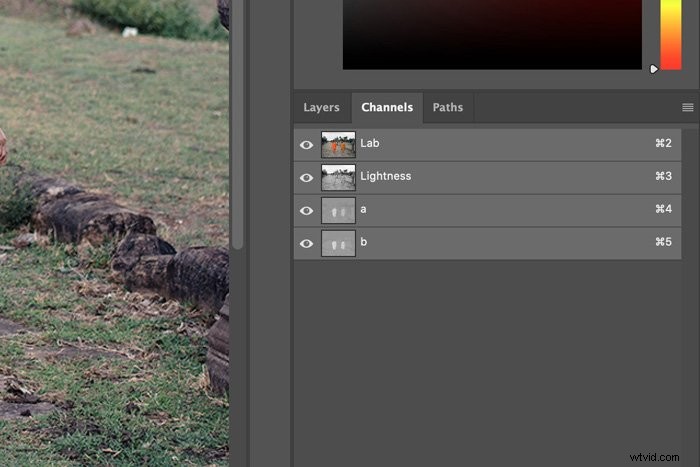 Understanding Lab Color Space: How to Use It in Photoshop for Precise Color Editing