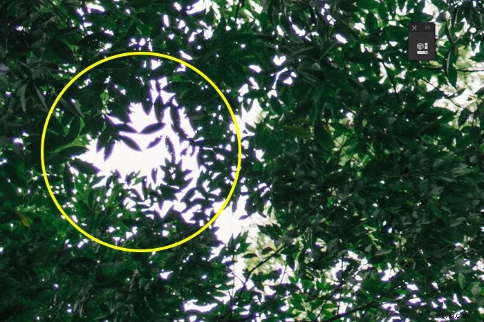 Effortlessly Remove Chromatic Aberration in Photoshop: Pro Step-by-Step Guide