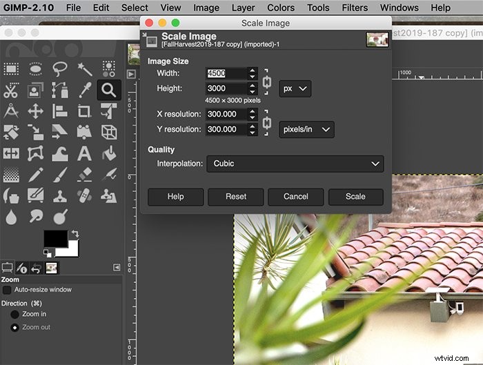 GIMP for Beginners: Master Photo Editing Step-by-Step