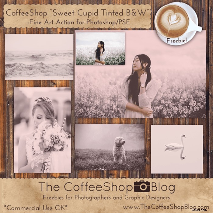 45 Top Free Photoshop Actions to Elevate Your Creative Photography