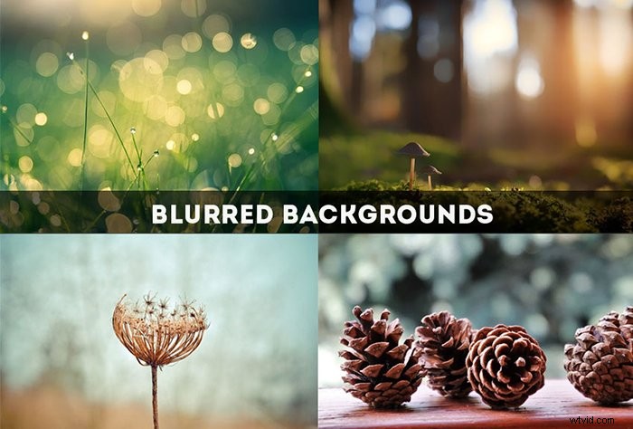45 Top Free Photoshop Actions to Elevate Your Creative Photography